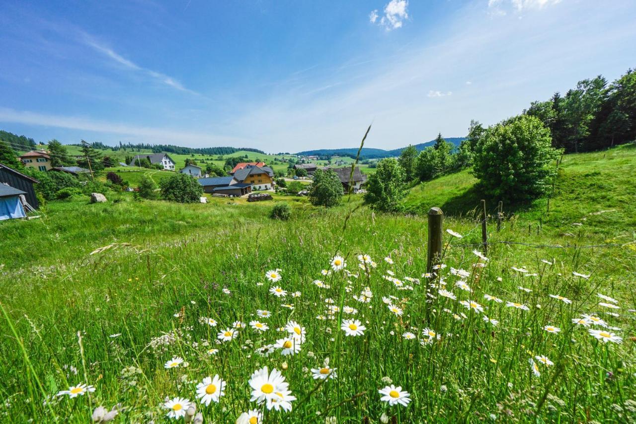 Hubertus Lodge Ibach Kültér fotó