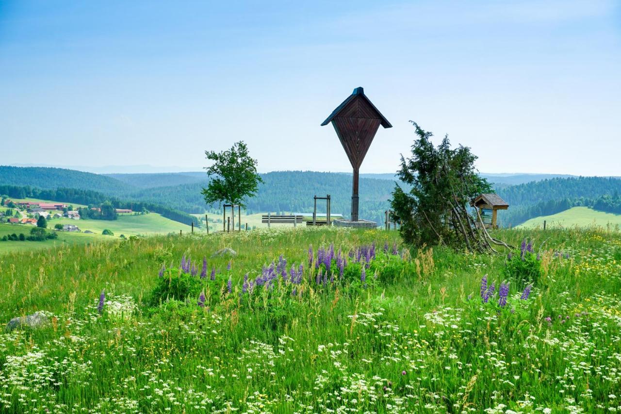 Hubertus Lodge Ibach Kültér fotó