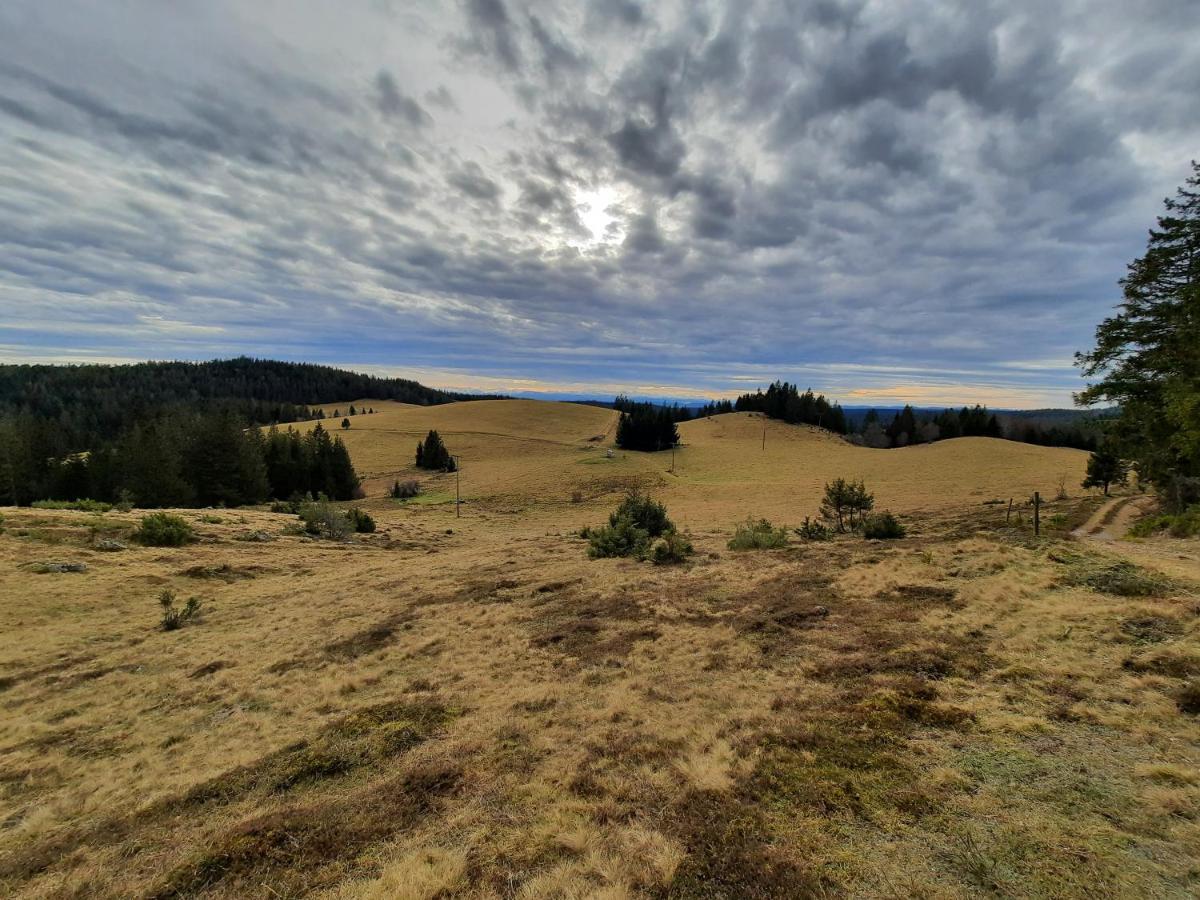 Hubertus Lodge Ibach Kültér fotó
